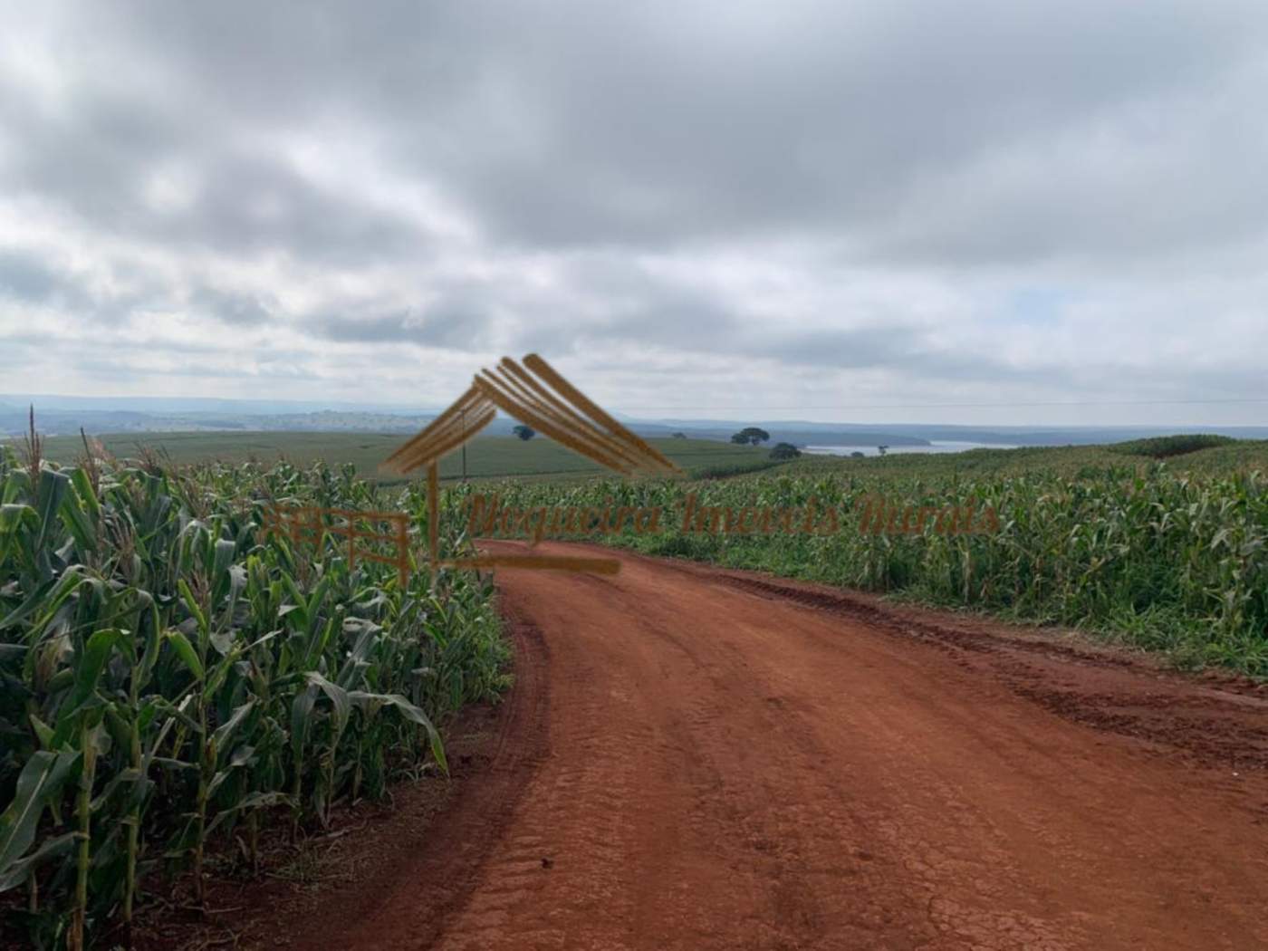 Fazenda a venda com 109 alqueires na região de Avaré-SP