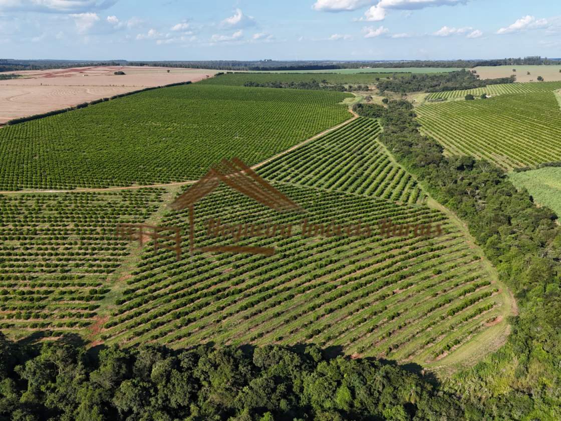 Fazenda com 197 alqueires na região de Avaré-SP