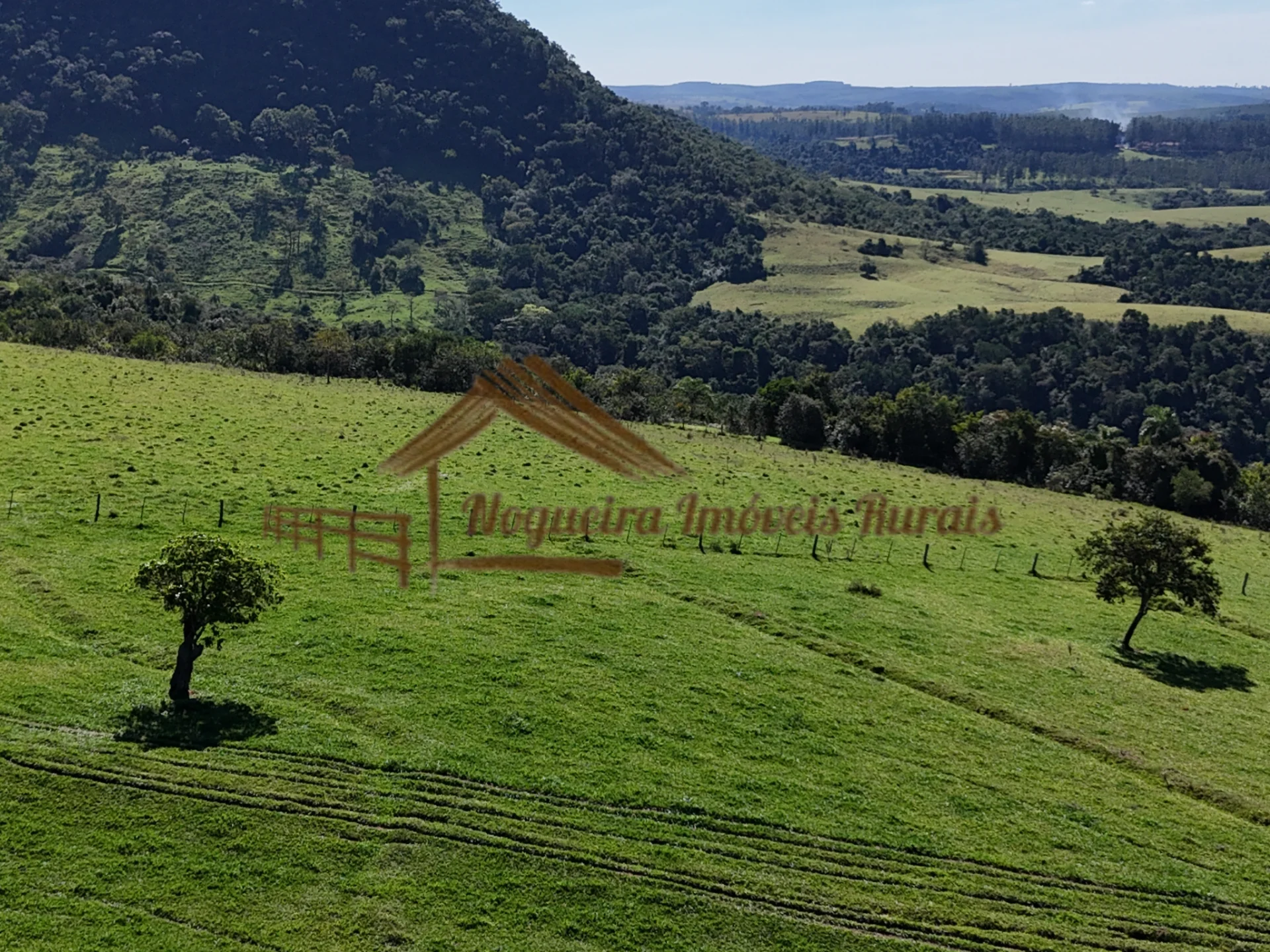 🌿 Fazenda Espetacular à Venda – Região de Botucatu/SP 🌿 - Foto 4