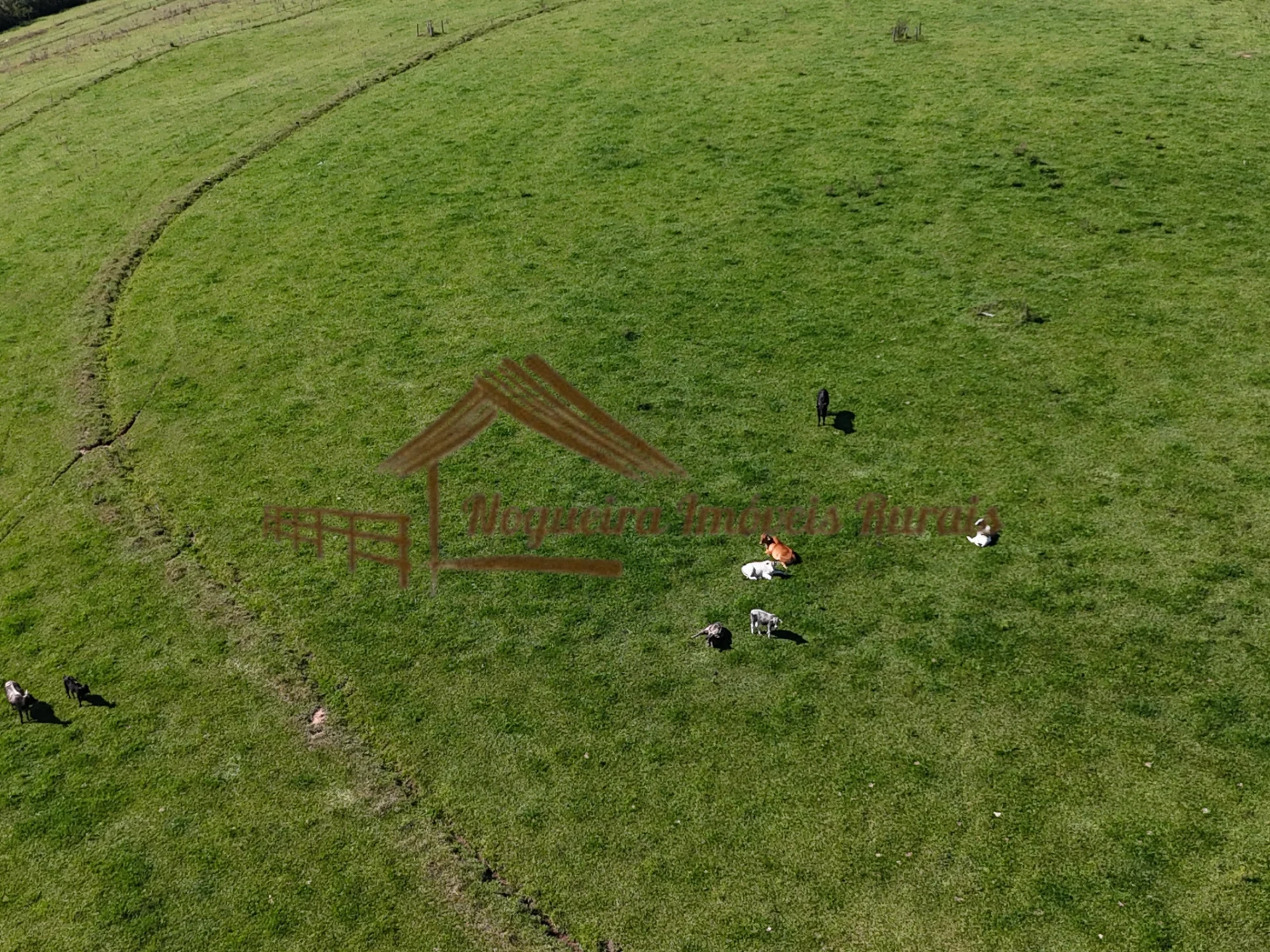 🌿 Fazenda Espetacular à Venda – Região de Botucatu/SP 🌿 - Foto 5
